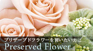 Preserved Flower