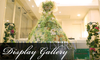 Display Gallery
