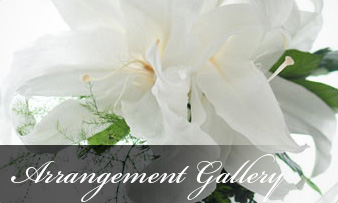 Arrangement Gallery